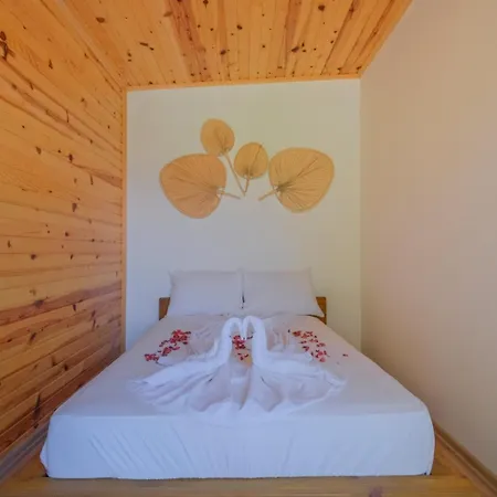 Hotel Liva