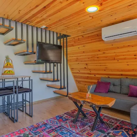 Hotel Liva 4*