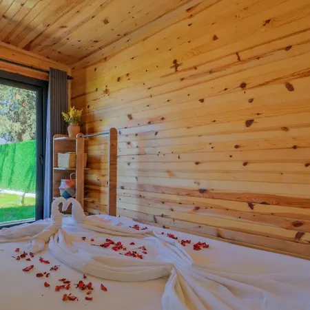 Hotel Liva