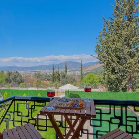 Liva Hotel 4*